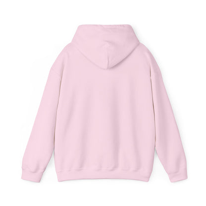 "Yes I’m Expensive Now Move" Pullover Hoodie – $45